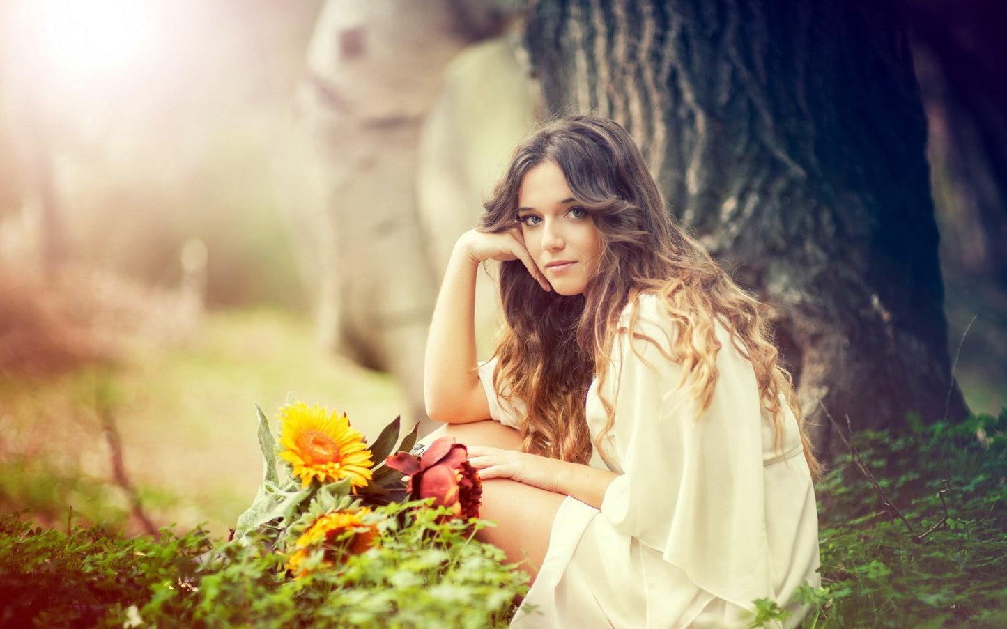 Stevi Brooke Beauty Collective gift card